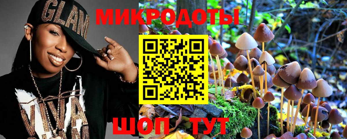 Мыски  Псилоцибиновые грибы мицелий  Вход с VPN 